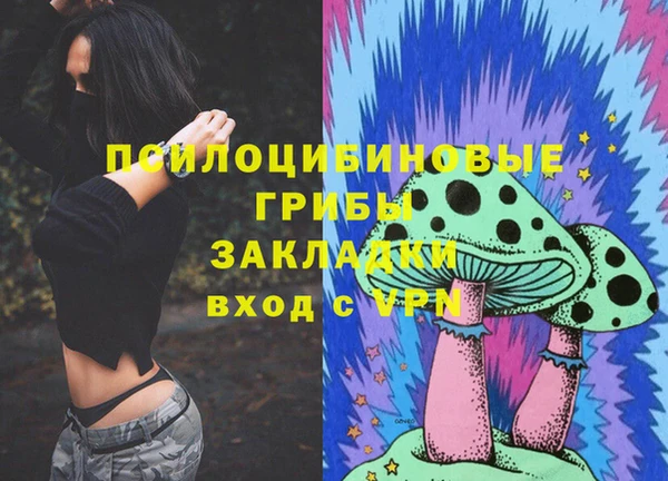 прущая мука Магас